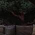 Summer Night Ambience Fall Asleep In A Cozy Cabin Porch To Soothing Gentle Rain Sounds For Sleep