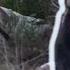 BLACK BEAR HUNTING TIPS That Will Help You Get Your Black Bear