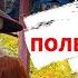 ТОП 10 САМЫХ НУЖНЫХ ФРАЗ на КИТАЙСКОМ ЯЗЫКЕ МЕНЯ ЗОВУТ ПО КИТАЙСКИ