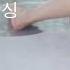 23살 스웨디시쌤과 브라질리언 왁싱 토킹 23년 NEW 4K Video