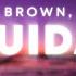 Chris Brown No Guidance Lyrics Ft Drake
