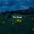 Alexander Rybak Fairytale Lyrics I M In Love With A Fairytale Shorts Youtubeshorts