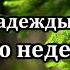 Гимны Надежды 119 Всю неделю Караоке минус Христианские песни Гимны надежды