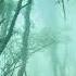 Ancient Forest Calming Fantasy Music For Sleep Relaxation