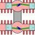 H Engine Mechanism Animation Video For Learning