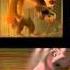 Madagascar 2005 Dragomire Rutracker Org корабль