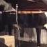 Ludovico Einaudi Ronald S Dream