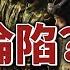 法媒 解封或與習 確診 有關 軍隊淪陷 上海又出事 中共受挫 江澤民爲何不留骨灰 三國圍攻中共砸億元自救 中印再爆肢體戰 國際新聞眼