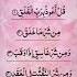 Surah AL FALAQ Egzon Ibrahimi Quranrecition Qurantilawat Egzonibrahimi Shorts Shortvideo