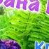 С днём ИВАНА КУПАЛА Красивая песня