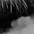 TECHNO Essential BEST OF 2019 HAPPY NEW YEAR Amelie Lens Charlotte De Witte Adam Beyer UMEK