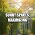 Humans Evolved To Harness Solar Power