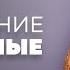 Наши домашние животные За что мы любим своих питомцев МАК ТВ 150