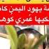 مع الفنان اليهودي اليمني ع مري كوهين مخزن بالقات في قلب اسرائيل اعتزاز وحب اليمن يجمعنا