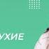 Видеоурок 15 Звонкие и глухие согласные Русский язык 2 класс