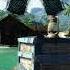 Прохождение Far Cry 3 осиное гнездо только с огнеметом