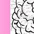 Master Your Mind A Summary Of Brain Rules By John Medina Booksummary