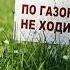 По Газонам не ходить