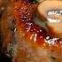 This Recipe Will Drive You Crazy Pork Steaks In A Creamy Garlic Sauce With Mushrooms