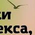 Бальтасар Грасиан цитаты о современном мире