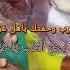 اصعب فيديو اليوم في غزة امنه يا عمو تطلعني امنه من تحت الانقاض والركام فتاة تستنجد للنجاه غزة اليوم