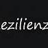 SWD Music Jay Sean Ride It DjVianuRemix By Rezilienza