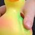 Squeaky Toy Duck Sounds For Dogs Soundsdogslove Funny Dogsound