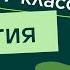 Отряды плацентарных млекопитающих Рукокрылые Грызуны и другие Видеоурок 31 Биология 7 класс