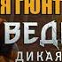ПЕСНЯ ГЮНТЕРА О ДИМА дети в деревне Броновицы L Ведьмак 3 Каменные сердца L