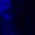 BLVCK CEILING Don T Hurt Me