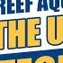 Transform Your Reef Aquarium Into THE ULTIMATE TECH TANK