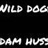 Wild Dogs Saddam Hussein