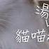 陀槍師姐2021 貓喵湯圓和貓奴の日常