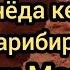 Шукурулло Домла Жанозадаги Бедатлар Албатта Тенгланг