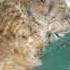 Коты Толстопузы Hotbellied Cats