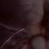 MASTIFF Torture Official Music Video APF Records