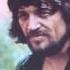 Pretend I Never Happened Waylon Jennings