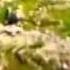 Vot Chto Znachit 11 Po 10 Ti Balnoy Shkale Udovolctviya