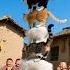 7 Cats Are Stacked Layer By Layer The Cat At The Bottom Is Really Amazing