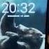 LG G3 Screen Problem