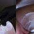 ASMR Highly Requested Compilation Women S Only Barber Shop Delicate Chest Back Face Shaving