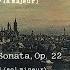 Piano Sonata No 20 In A Major D 959 II Andantino