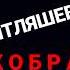Ислам Итляшев КОБРА