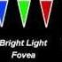 Color Vision 9 Melanopsin In The Eye