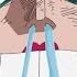 One Piece AMV Pirates Vs Marines Asu E No Houkou Subtitled
