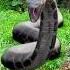 Mother And Daughter Survival Skills Are Amazing Don T You Think Funny Cute