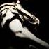 NO STATIC Dance For Me Family Affair Henot1c Edit 2022 Tech House
