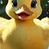 Baby Duck Quack Quack Quack Cute Duck Song For Toddlers Fun Animal Nursery Rhyme
