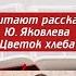 Рассказ Ю Яковлева Цветок хлеба 6