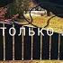 Я столько лет